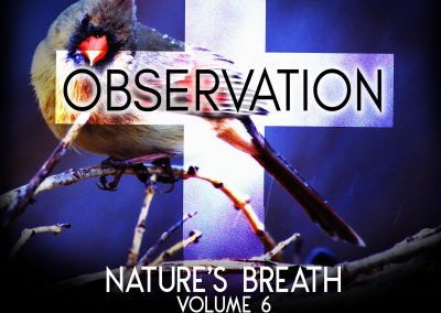 Nature’s Breath: Observation