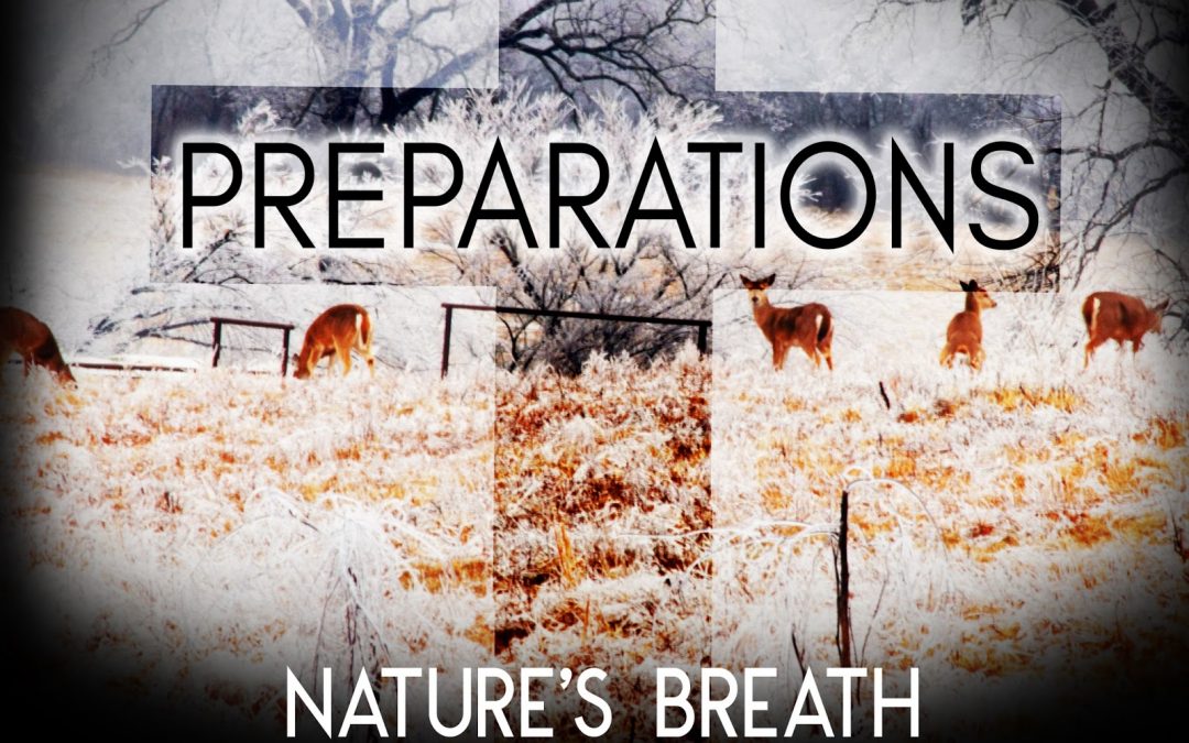 Nature’s Breath: Preparations