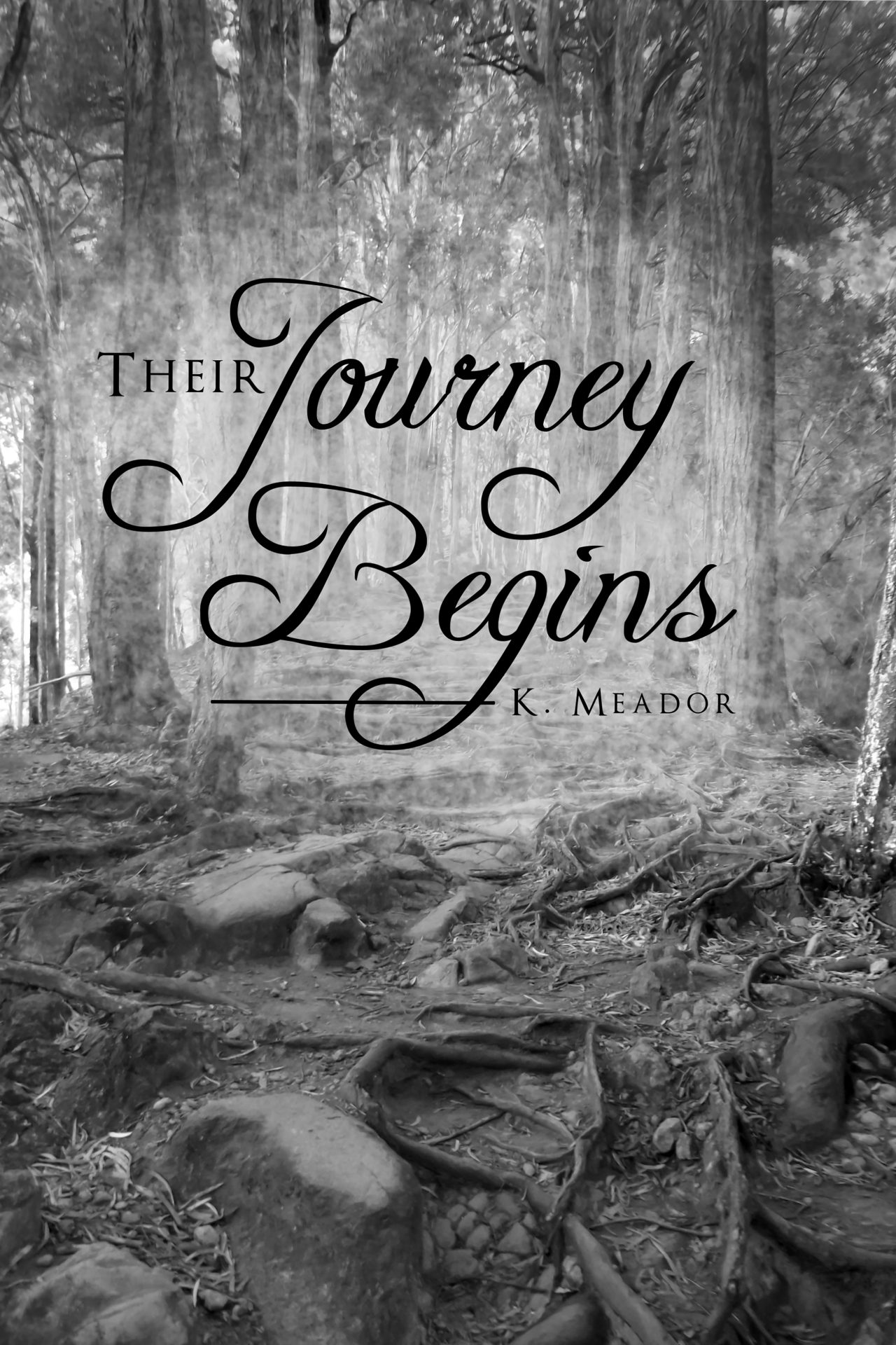 ONL: Your Online Journey Begins Now!