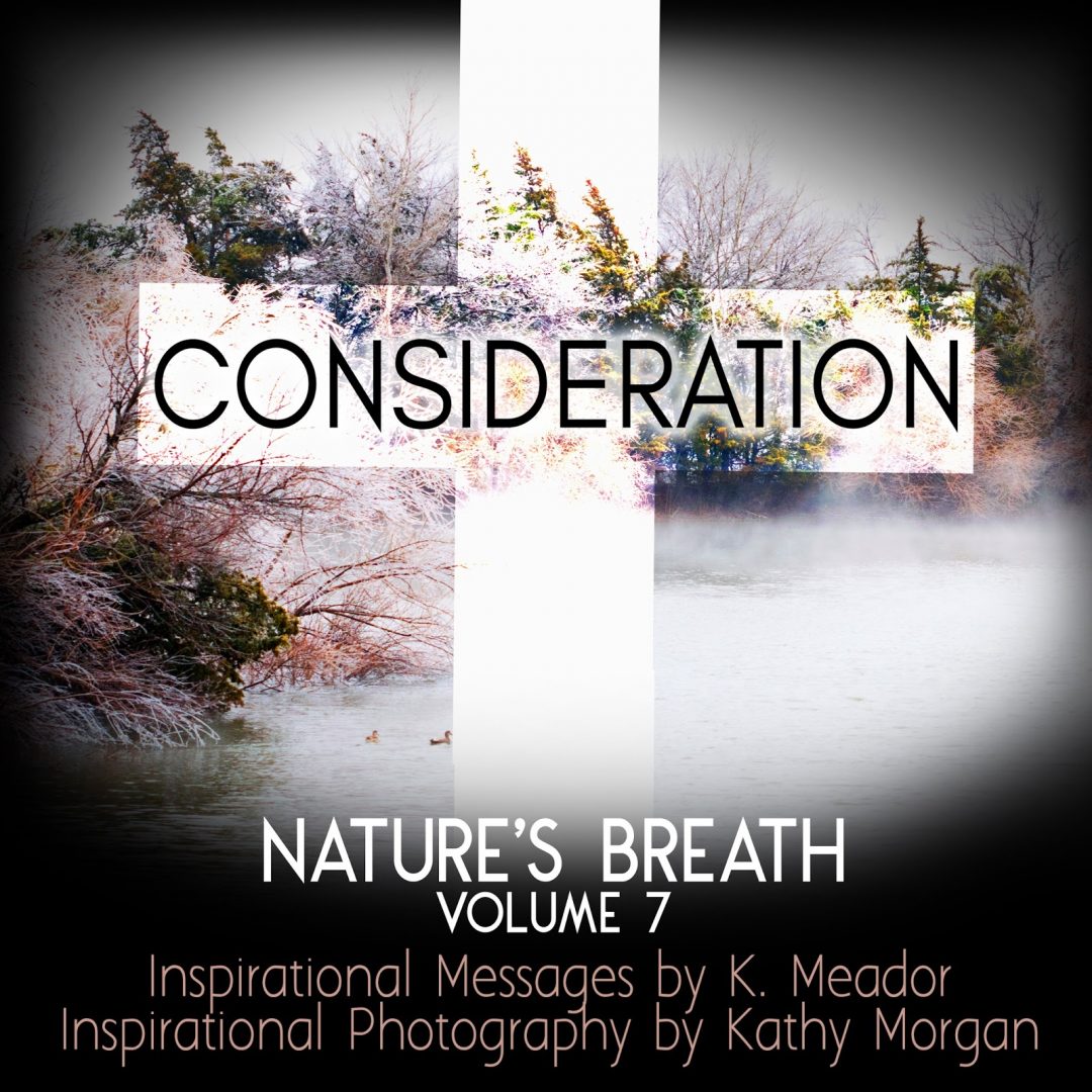 Nature’s Breath: Consideration