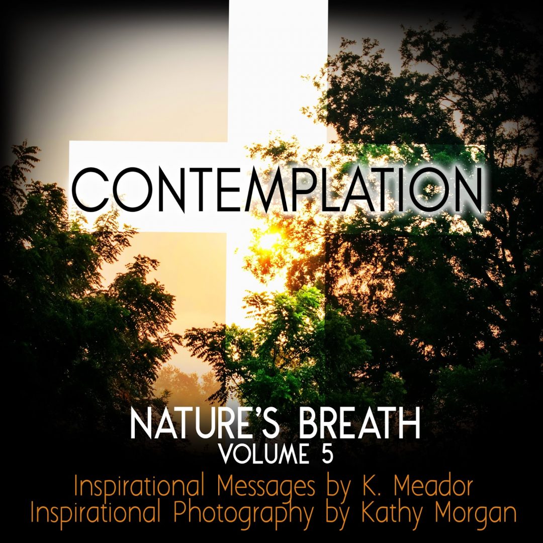 Nature’s Breath: Contemplation