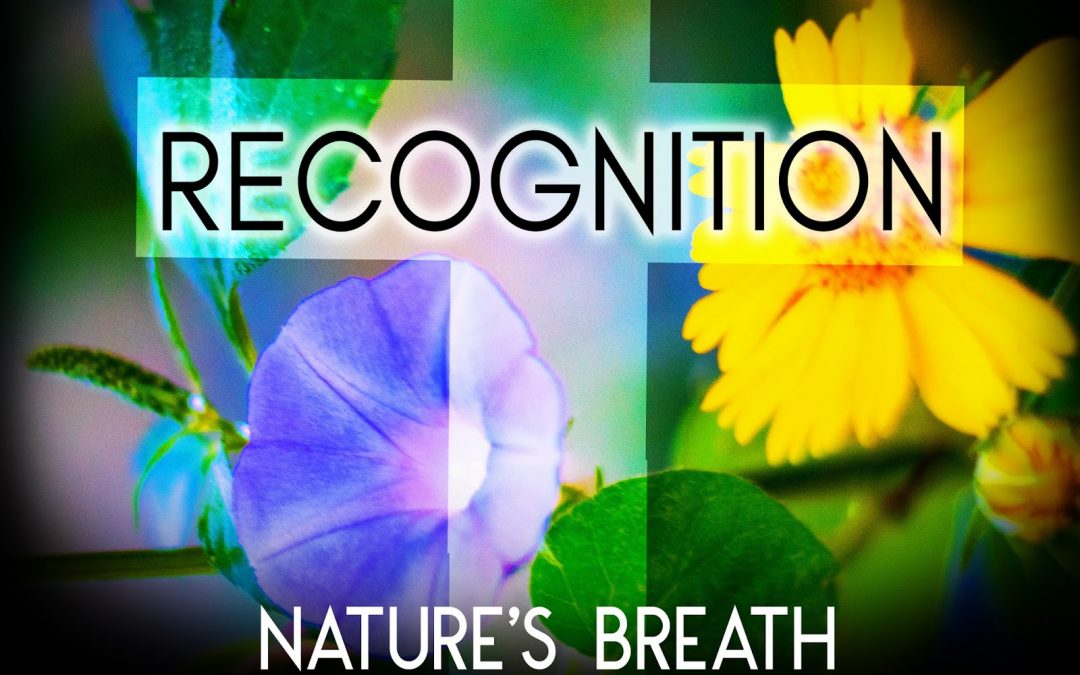 Nature’s Breath: Recognition
