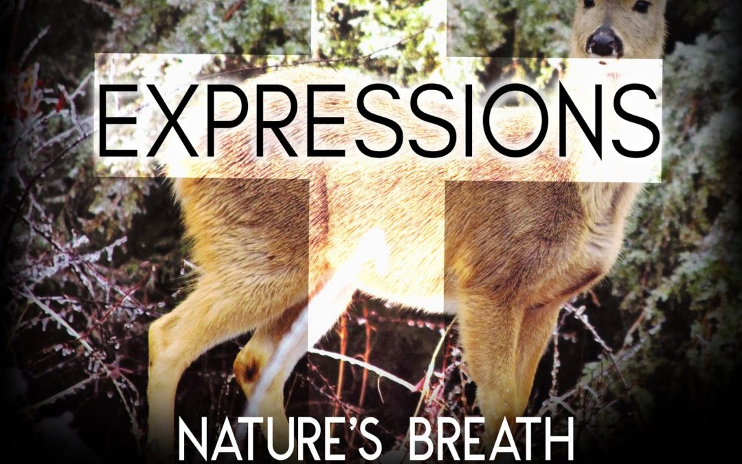Nature’s Breath: Expressions